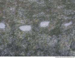 Photo Textures of Ground Grass Frozen